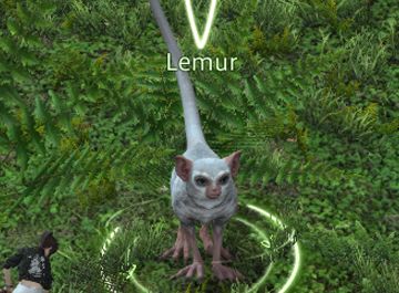 Final Fantasy 14 Lemur