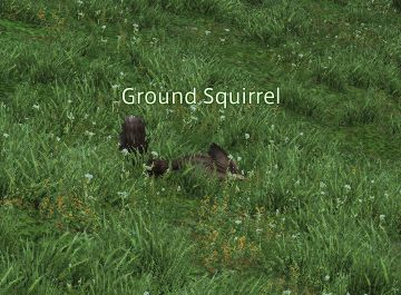 Final Fantasy 14 ground Squirrel