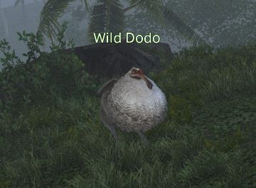 Final fantasy 14 Wild Dodo