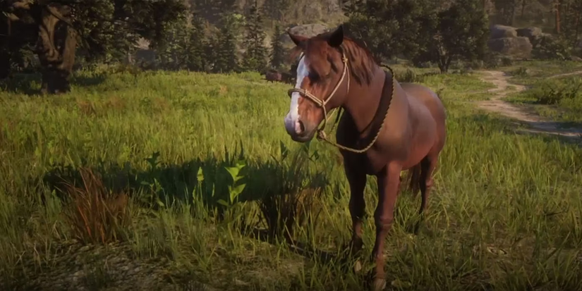 Sufflock Punch horse in Red Dead Redemption 2.