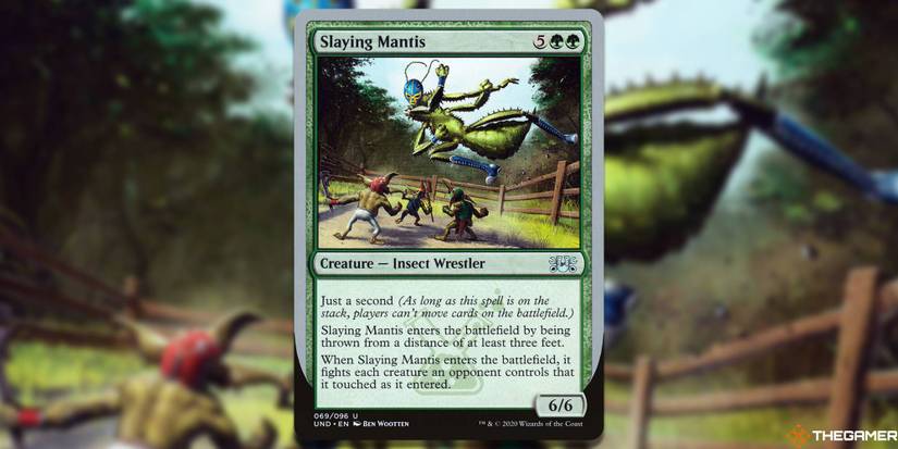 The Funniest MTG Cards With Silver Borders And Acorn Stamps