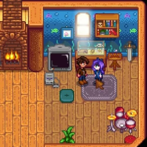 Every House Upgrade And Renovation In Stardew Valley