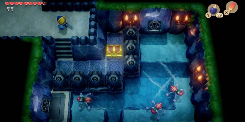 legend of zelda link's awakening angler's cave bugs chest eyes