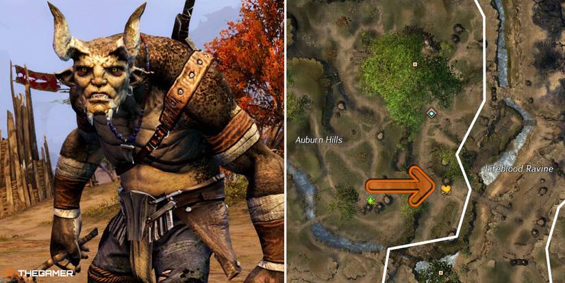 Guild Wars 2 - location of Groffmok