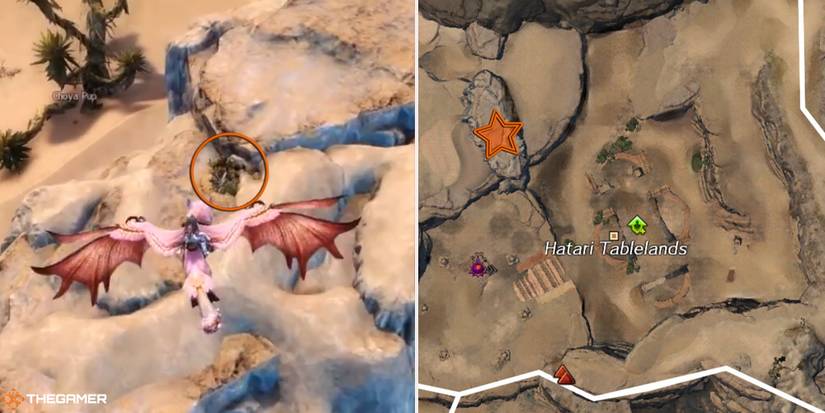 Guild-Wars-2---location-of-the-Browned-Coastal-Griffon-Egg-1