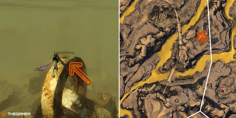 Guild Wars 2 - location of the Dark Canyon Griffon Egg