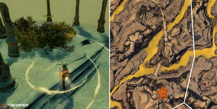 Guild Wars 2 - location of the Warmed Canyon Griffon Egg