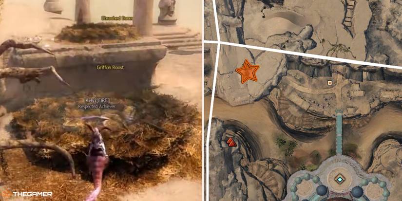 Guild Wars 2 - location of the Warmed Coastal Griffon Egg