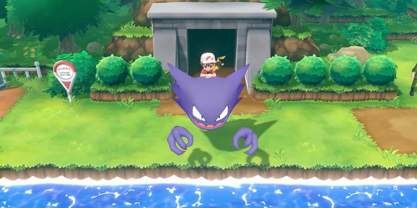 Pokemon With The Most Type Immunities