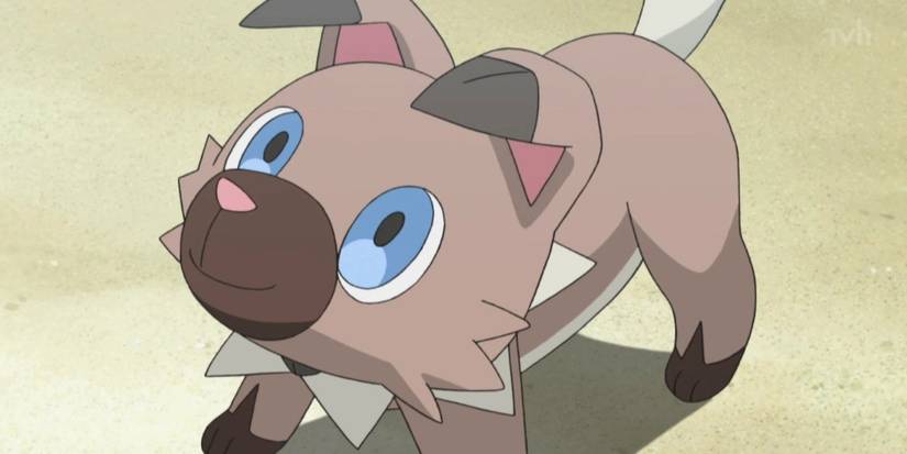 Pokemon Ruff Ruff Dark Form Every Pokemon That Only Evolves At Night