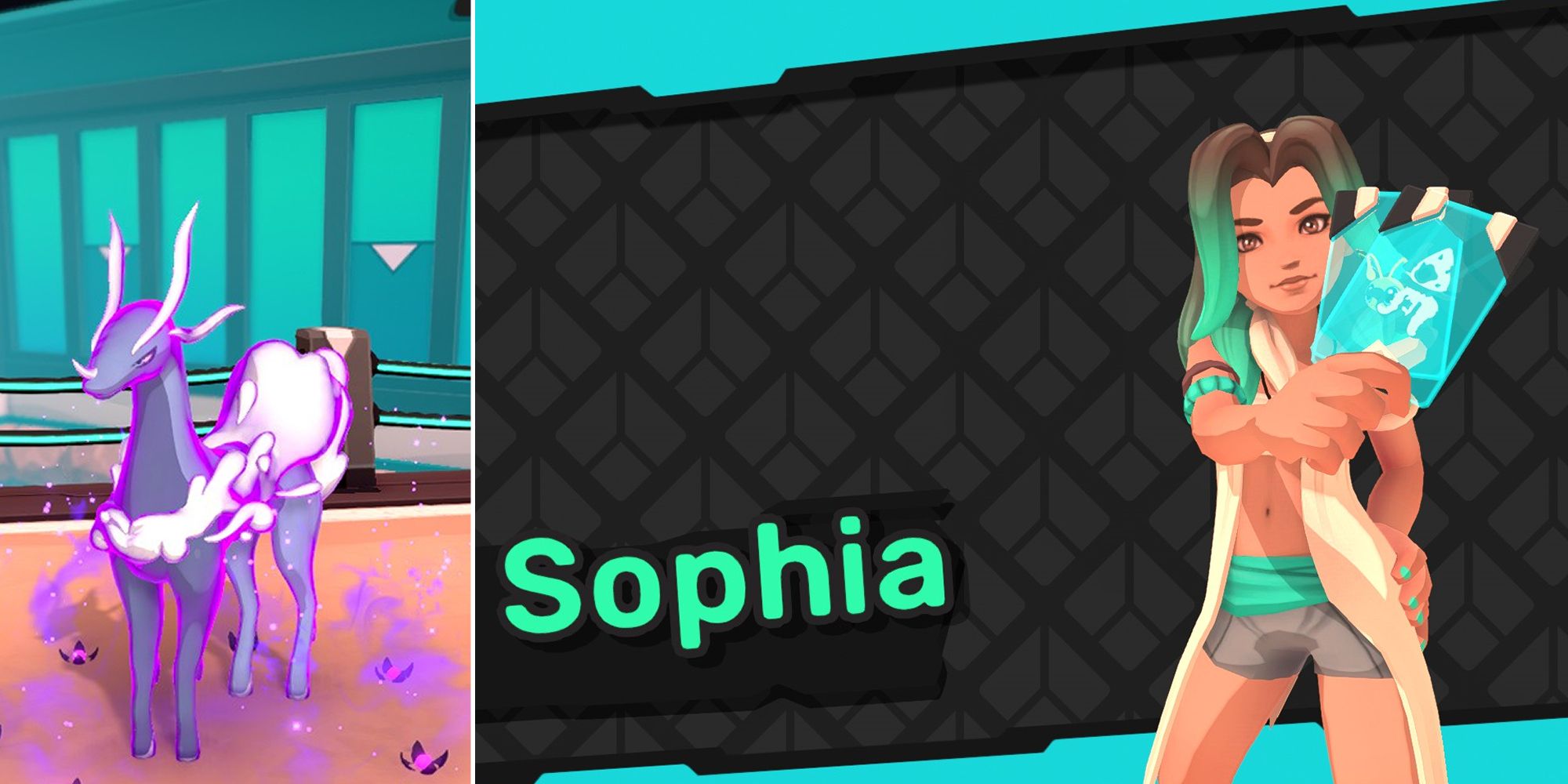 Sophia Split Image Feature