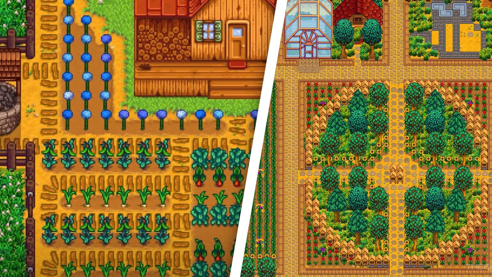 Word Mining Spring Which Crops Should You Plant In Spring In Stardew Valley?