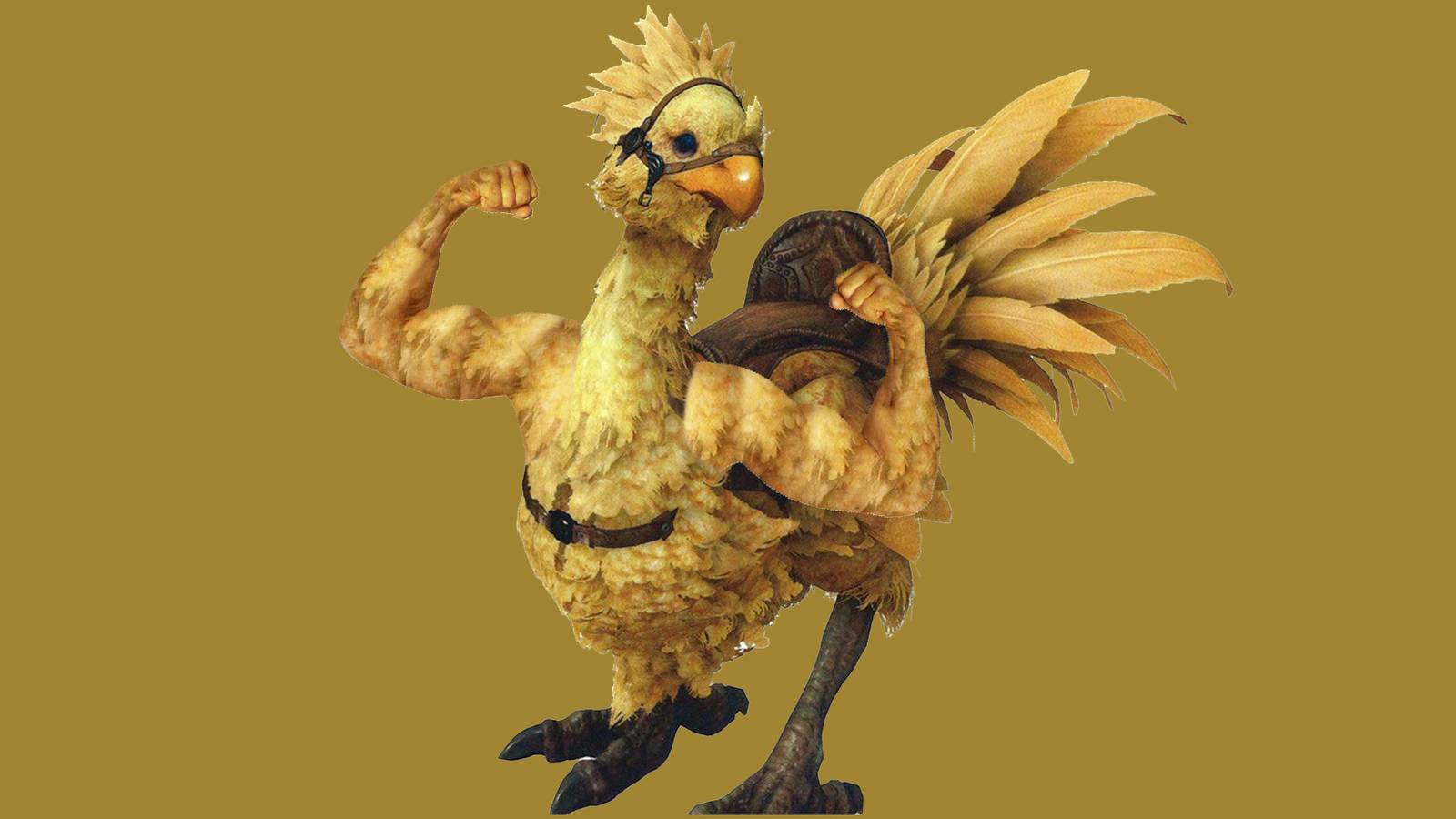 Robo Chocobo 5 Things A Chocobo Could Do If It Had Human Arms