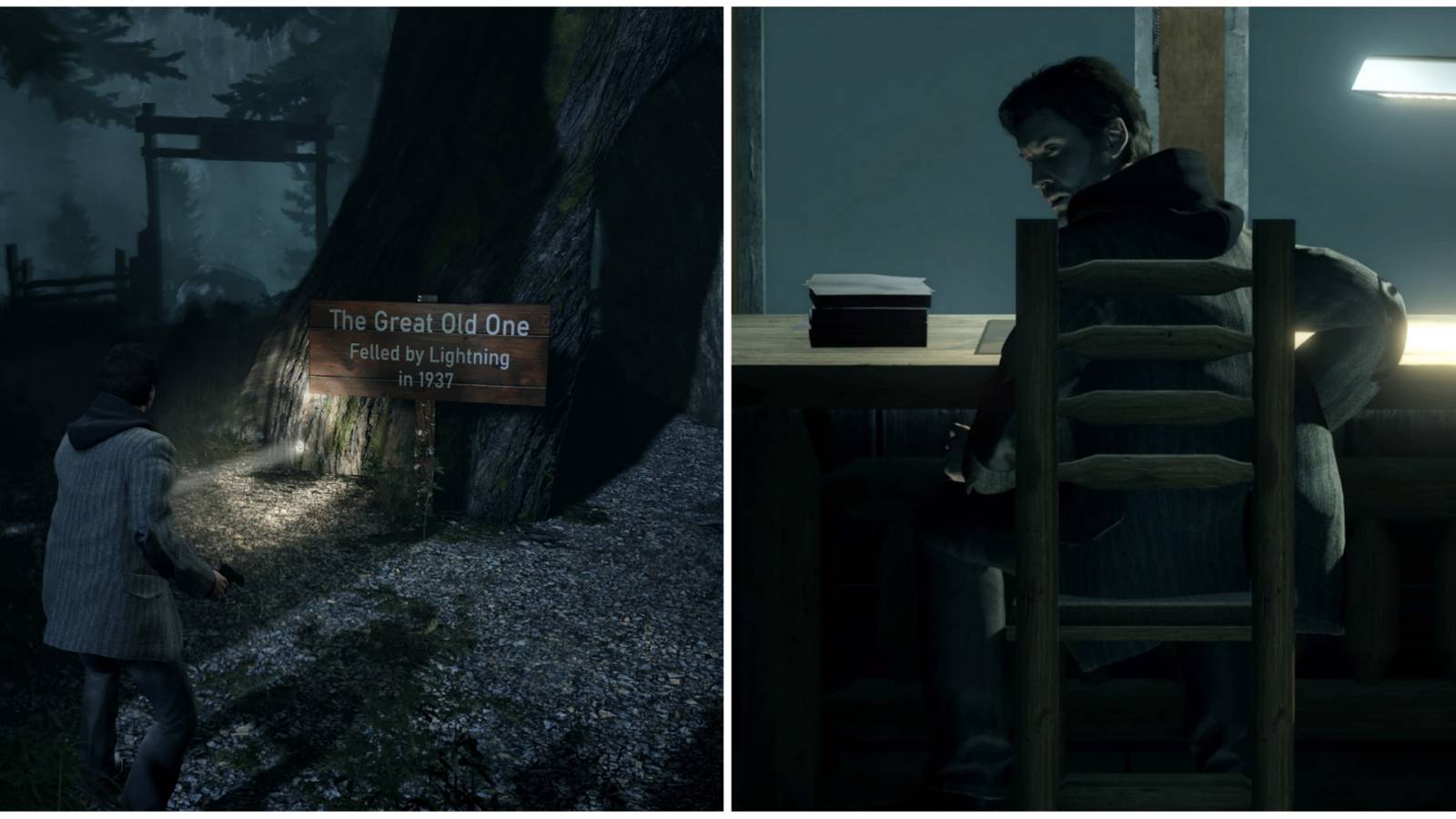 ALAN WAKE BRIGHT FALLS AFICIONADO visual data 4