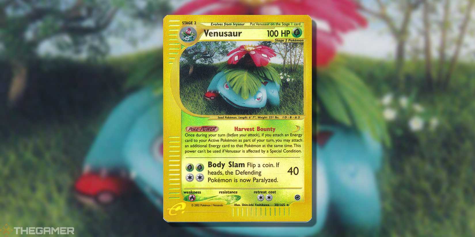 The Most Valuable Venusaur Pokemon TCG Cards The Most Valuable Venusaur Pokemon TCG Cards