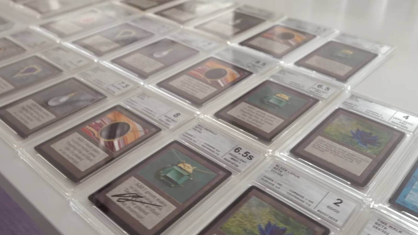 MTG Fan's Decades-Old Collection Valued At $1 Million