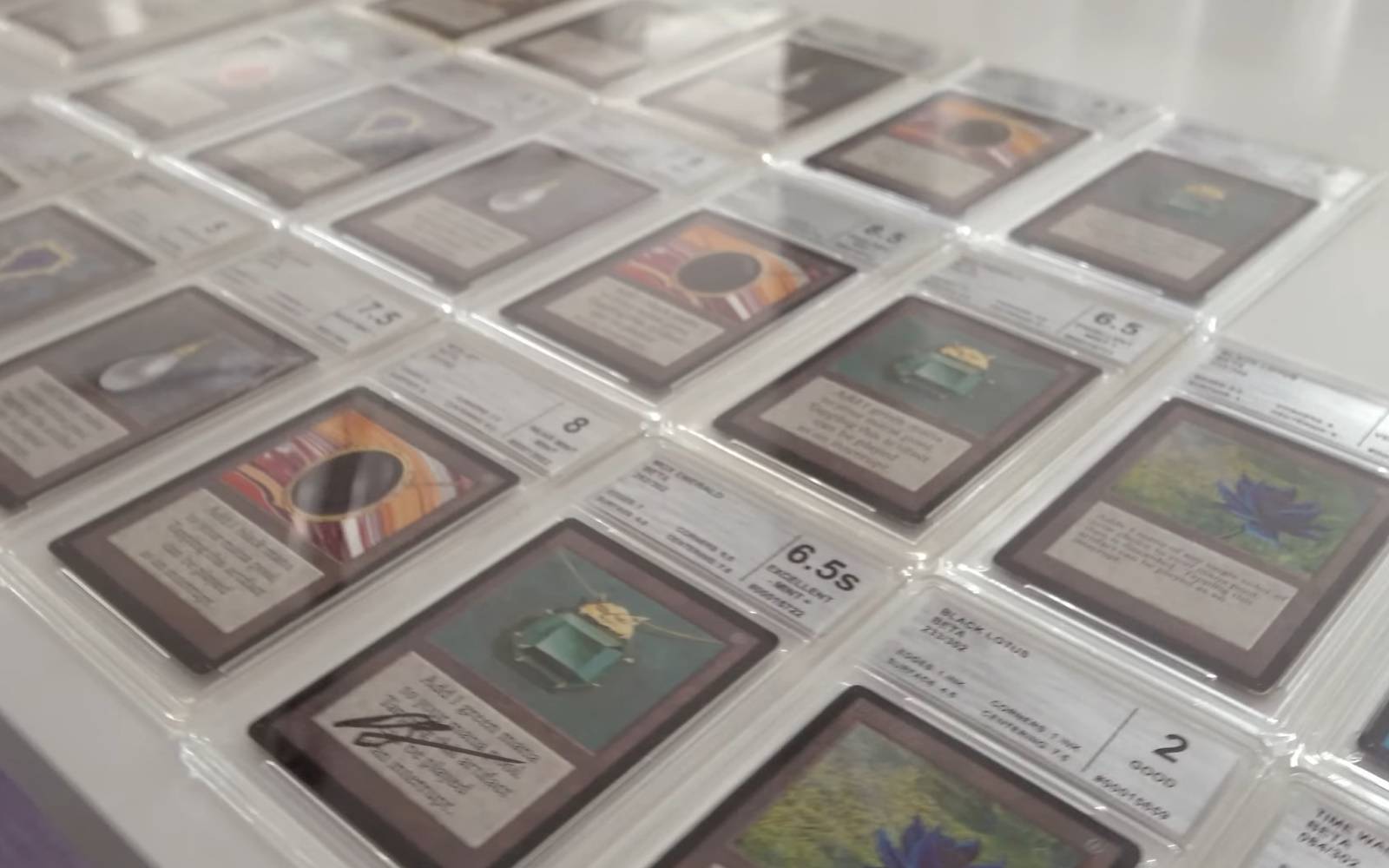 mtg card collection database cards Power-Level-Errata-B-Gone MTG Spreadsheet : r/ mtg MTG Fan's Decades-Old Collection Valued