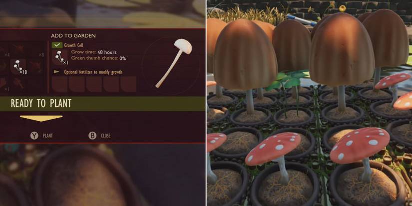 All Smoothie Recipes In Grounded