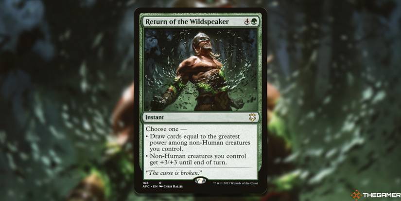 The Best Draw Spells In MTG Commander The Best Draw Spells In MTG Commander