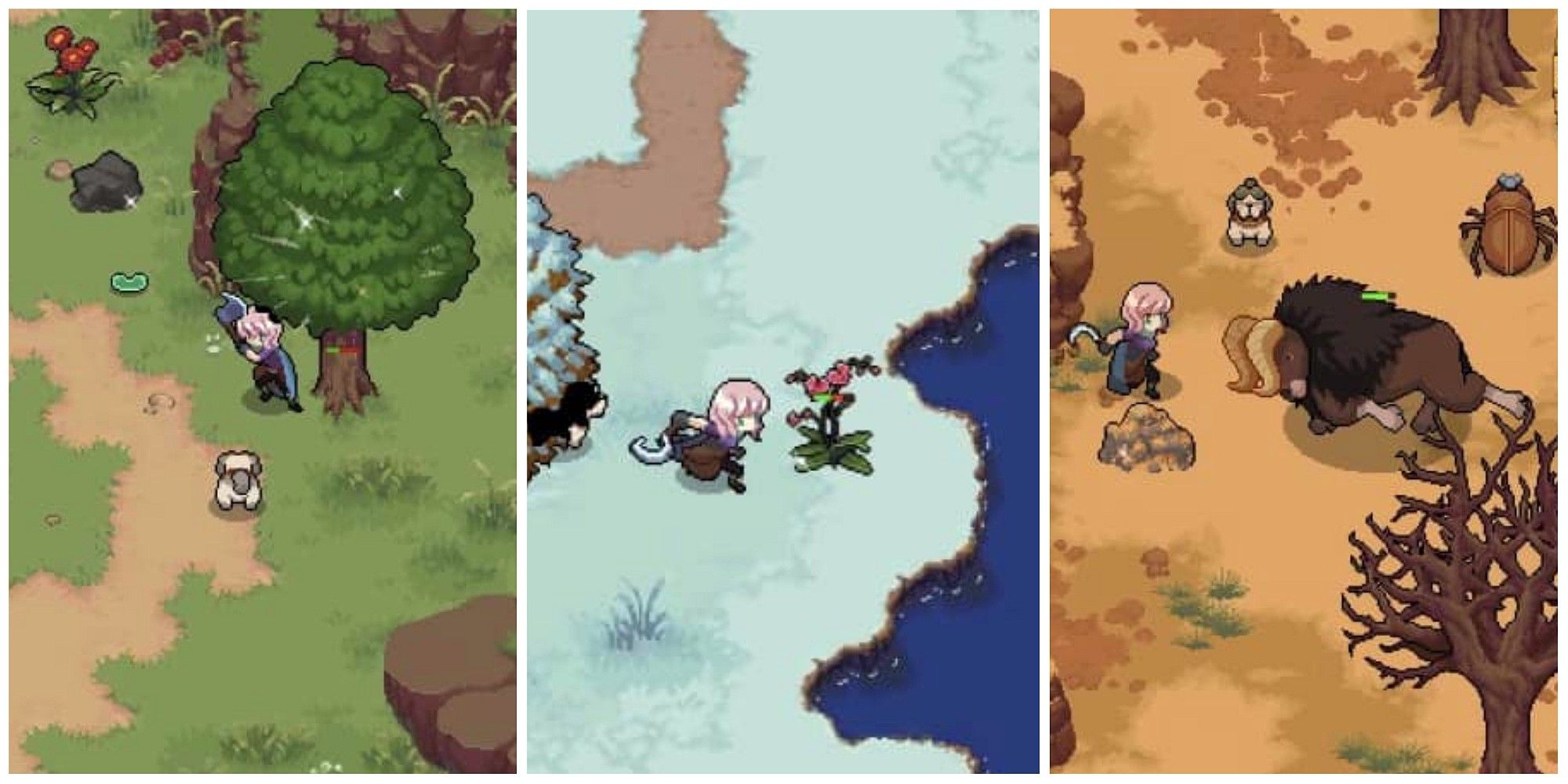 Where To Find All Materials And Resources In Potion Permit