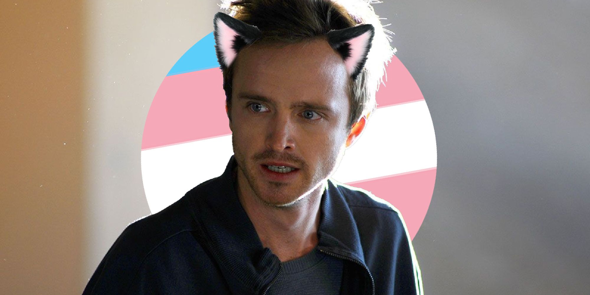 Twitter Has Turned Jesse Pinkman Into A Trans Anime Catboy