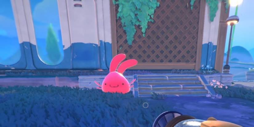 Slime Rancher 2: Best And Cutest Largo Slimes