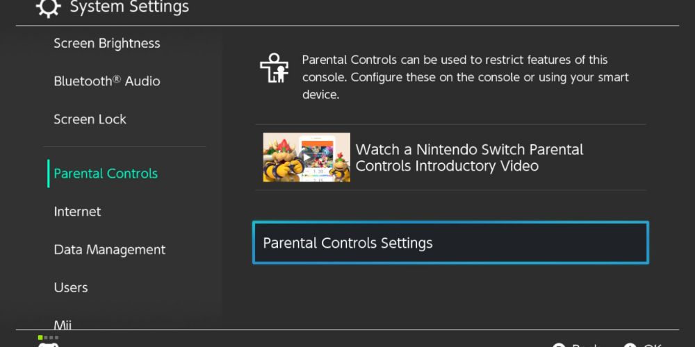 The owner looks over the Parental Controls settings and considers watching the video on the Nintendo Switch.