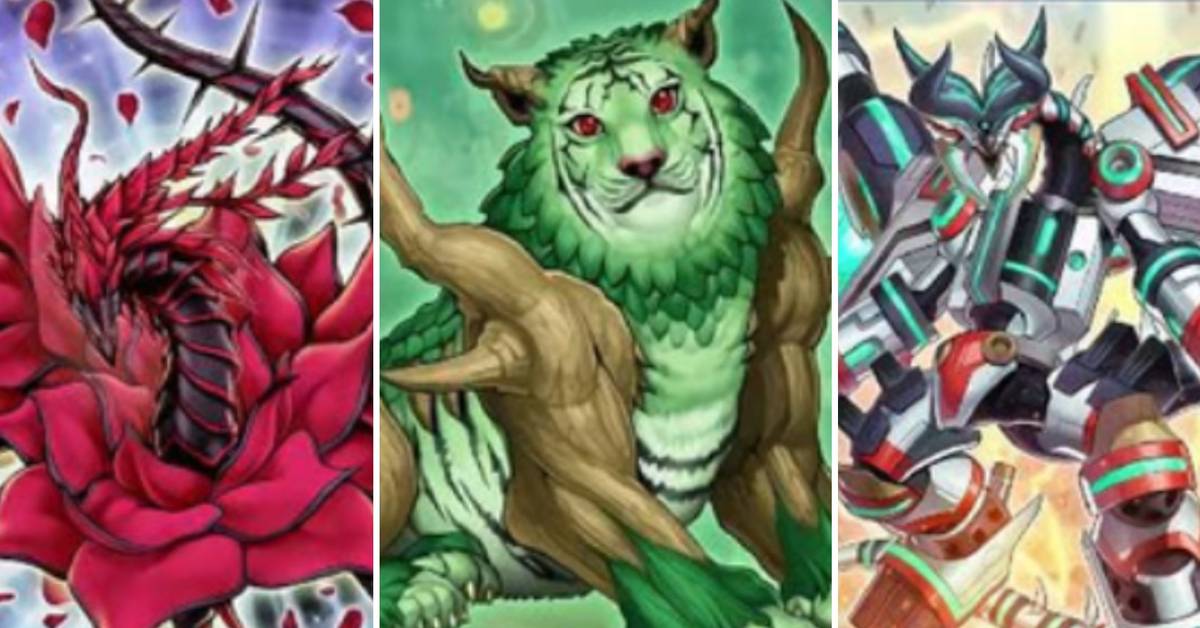 The Best Synchro Monsters In Yu-Gi-Oh!