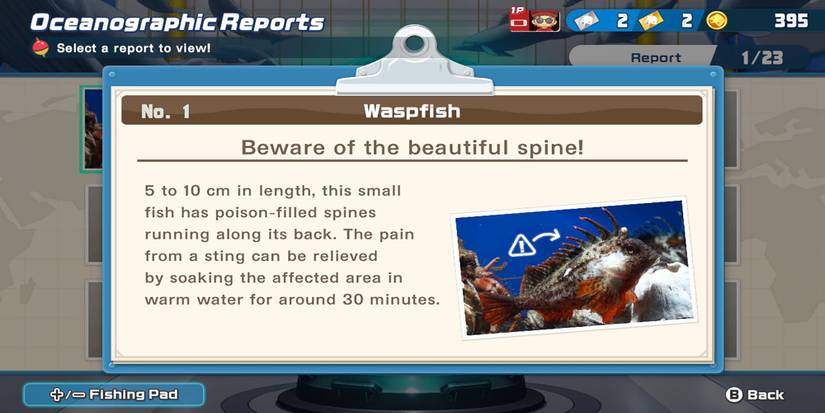 Accf Fish Guide How Does Ace Angler: Fishing Spirit's Story Mode Work?