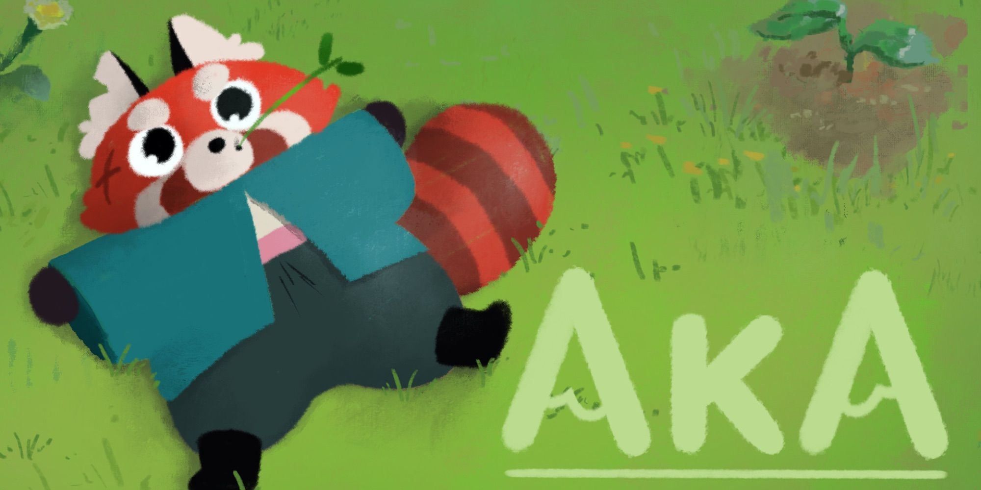 Aka guide cover