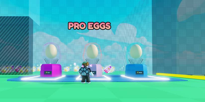 Fly Race Codes - Roblox
