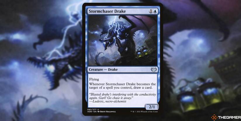 best blue cards mtg standard The Top 50 Blue Cards