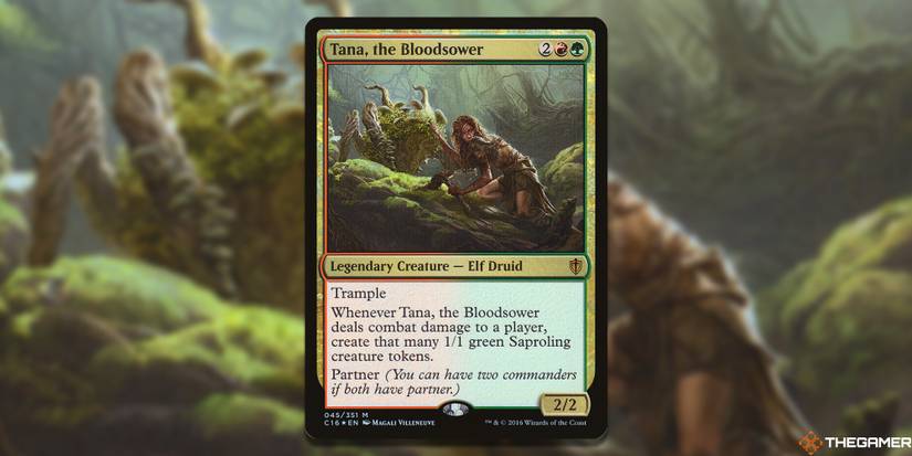 Magic: The Gathering - The 10 Best Saproling Commanders Magic: The Gathering - The 10 Best Saproling Commanders