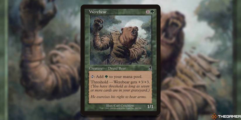 mtg card text Magic The Gathering, Secret Lair: The Full-Text Lands – Card Monster Games