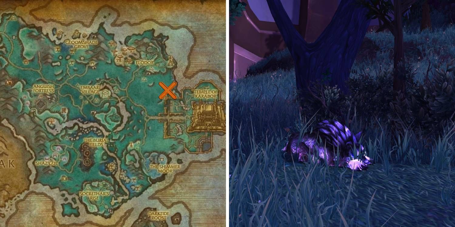 The location of the spirit beast Lost Netherwolf within Shadowmoon Valley (Draenor) in World of Warcraft