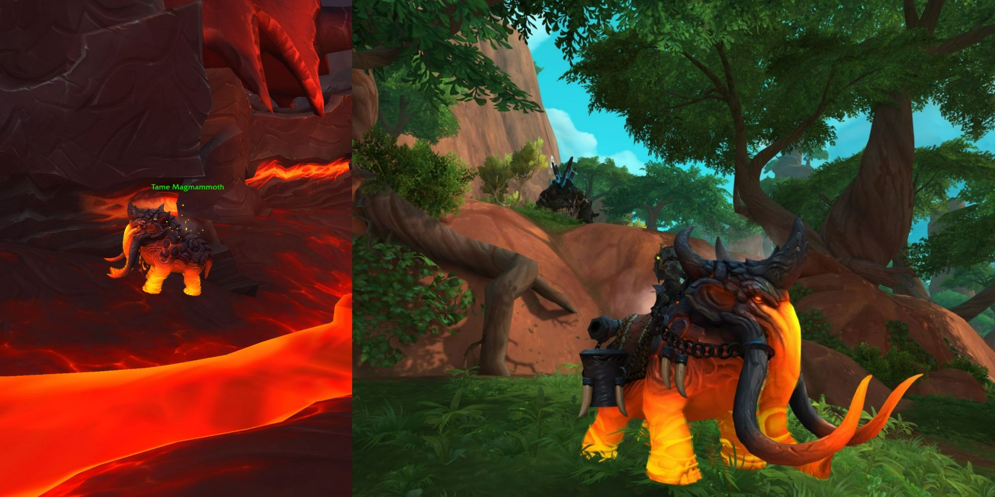 WOW The Dlo2 門徒 US 11 How To Tame The Loyal Magmammoth Mount In WoW: Dragonflight