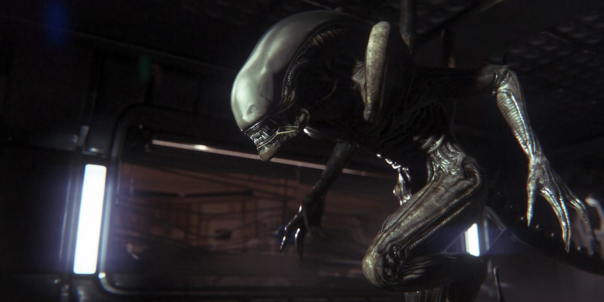 The Best Xenomorph Designs In The Alien Series