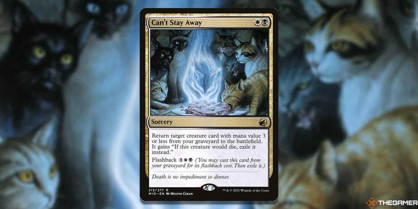 best flashback cards mtg The 49 Best Flashback Cards in Magic Ranked