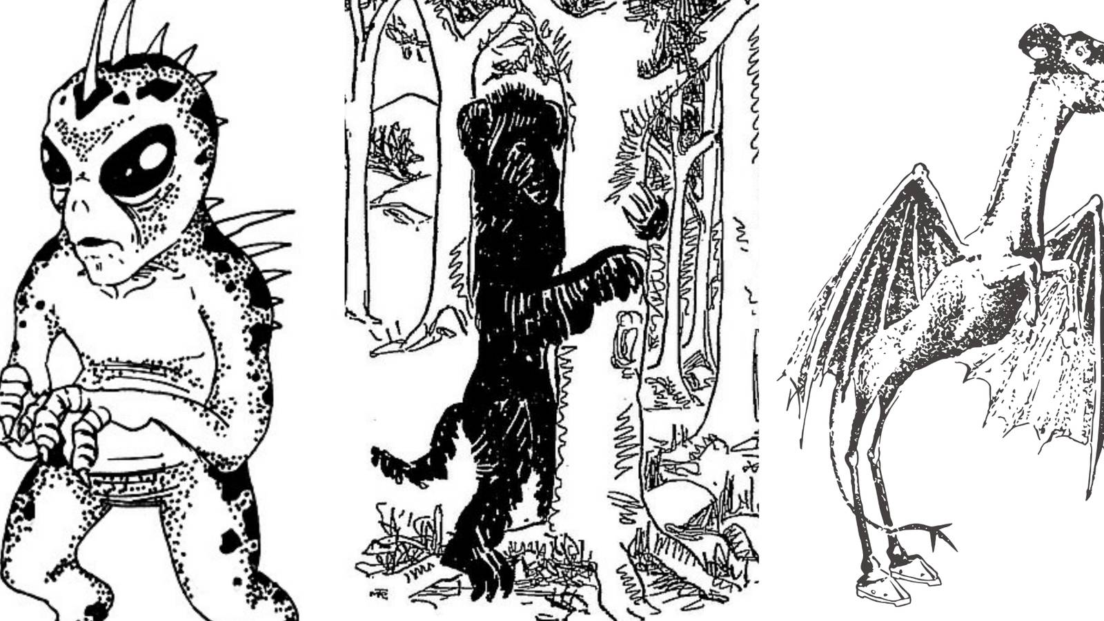 Cryptids That Could Be Pokemon