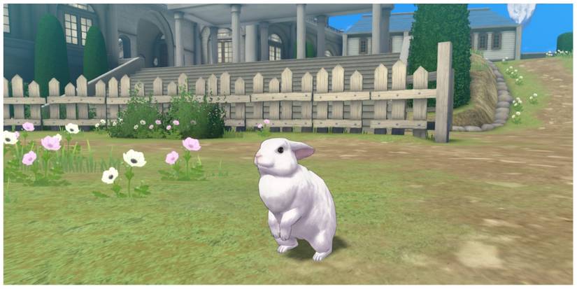 The Cutest Animals You Can Adopt In Fire Emblem Engage