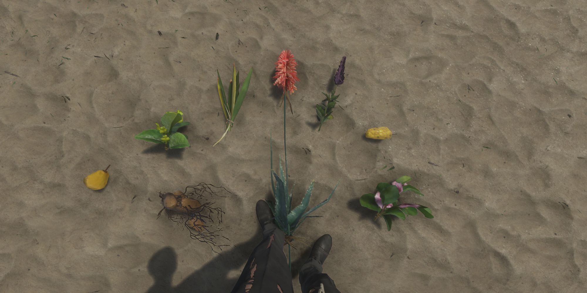 All Farmable Plants in Stranded Deep Close Shot