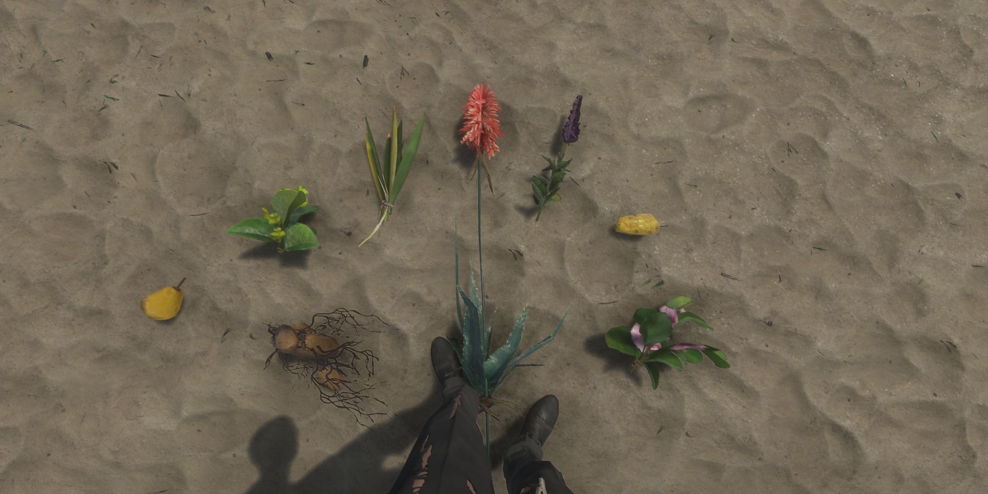 Everything about farming in Stranded Deep