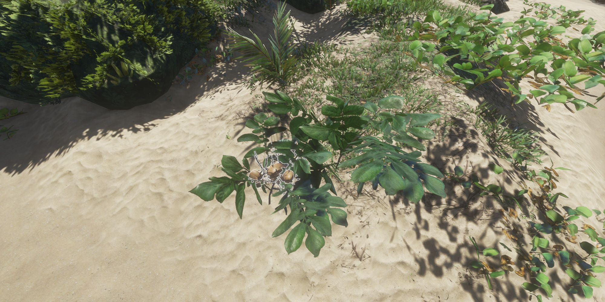 Stranded Deep Potato Plant Close Shot