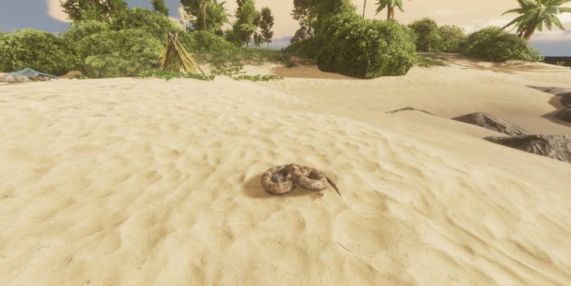 How To Cure Every Negative Status Effect In Stranded Deep