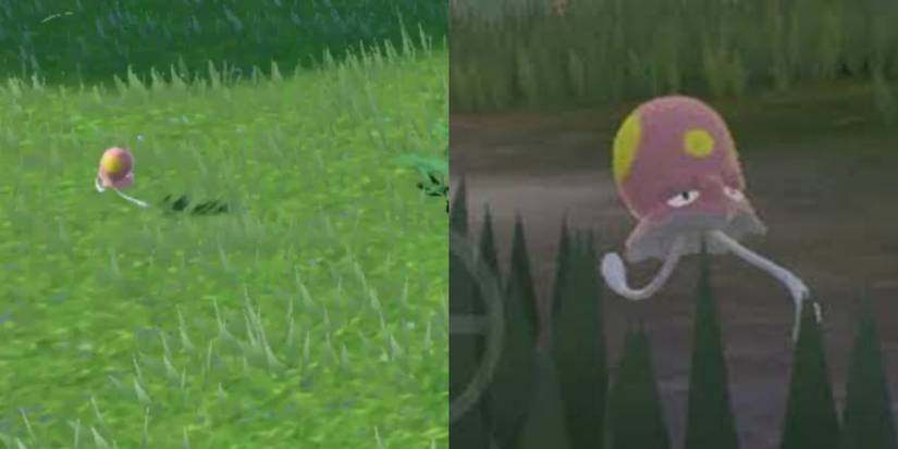 Cryptids That Could Be Pokemon