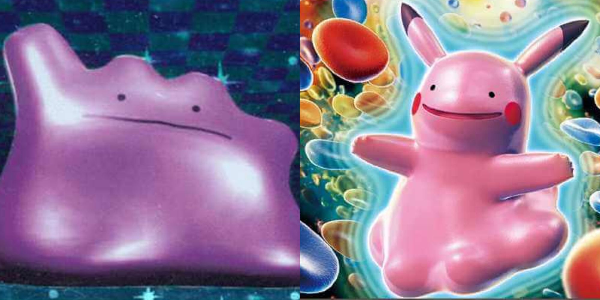 pokemon ditto cards Amazon.com: Ditto Pokemon Card main image 1
