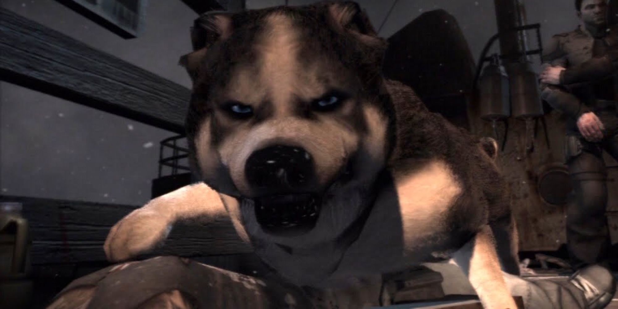 16 Dog Video Games