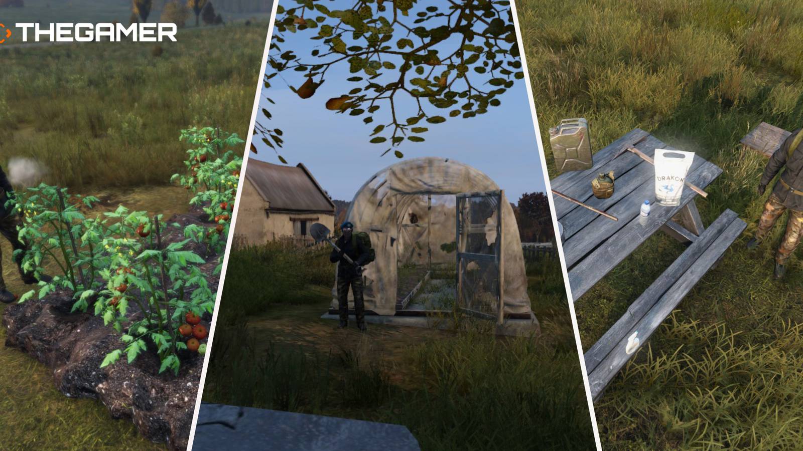 How To Farm Vegetables In DayZ