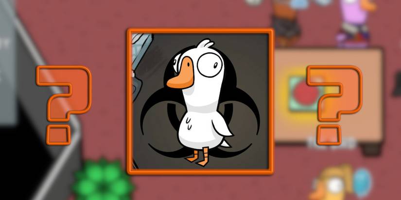 Things That Make No Sense In Goose Goose Duck