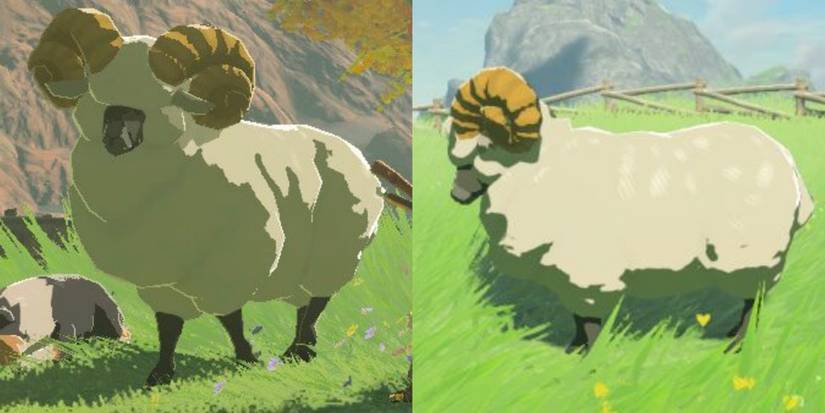 Best Video Game Sheep